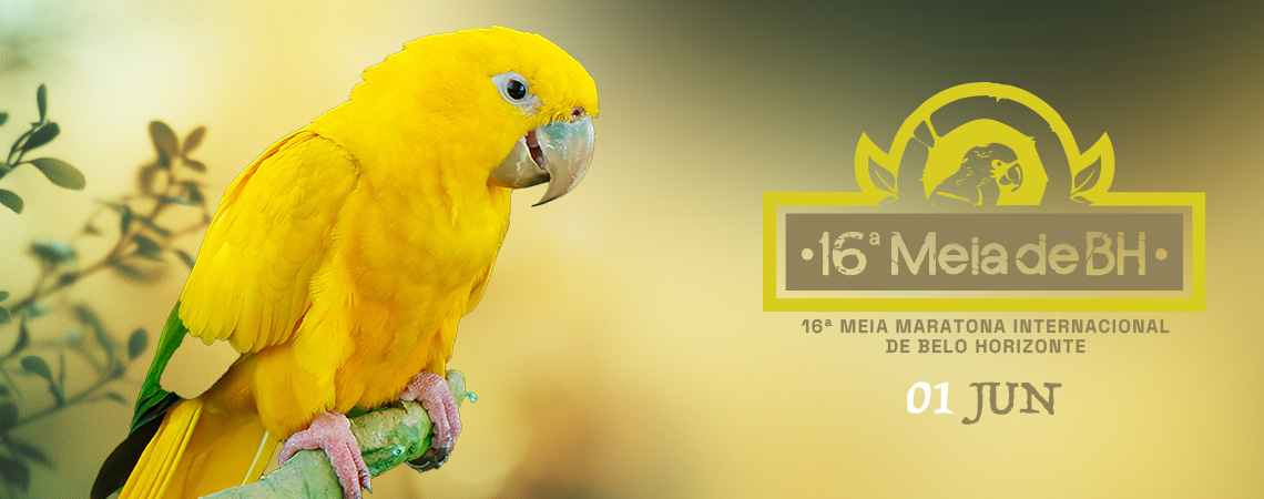 16ª MEIA MARATONA INTERNACIONAL DE BELO HORIZONTE.